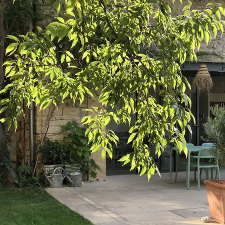 Les Nuits Petillantes Guest house Cournonterral